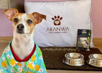 Voz Animal y Aranwa Hotels se unen para combatir el abandono animal