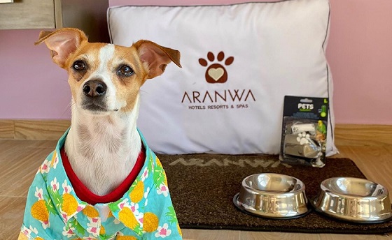 Voz Animal y Aranwa Hotels se unen para combatir el abandono animal