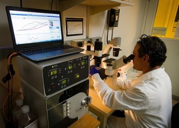 IA puede contener ciberataques a entidades de salud