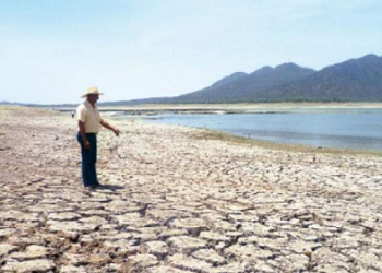 No hay política agraria que proteja producción nacional